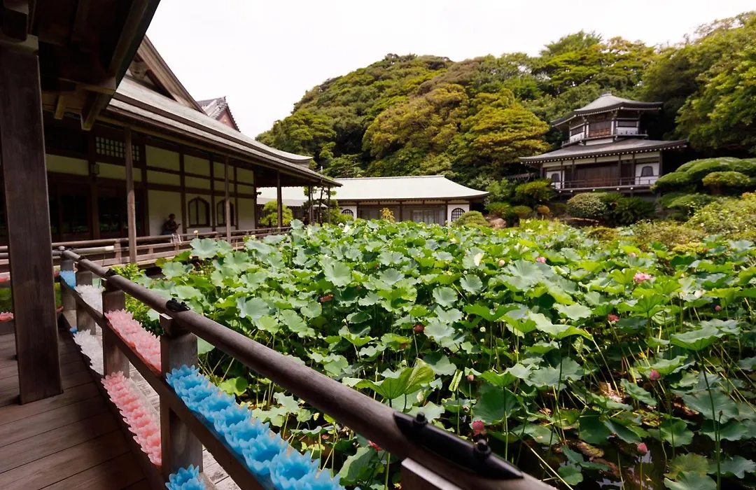 Guest House Kamejikan -Turtle Time--1
